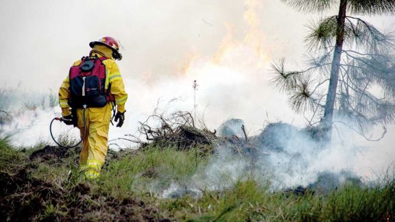 Incendios forestales causaron pérdida de fauna en Ituzaingó