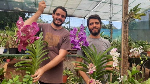 Cultivan orquídeas y sueñan con tener su laboratorio