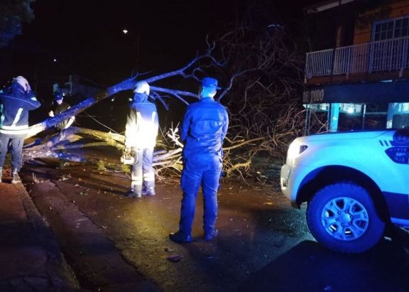 Caídas de árboles y una familia evacuada debido al temporal en Oberá