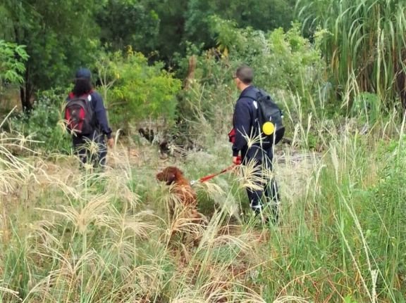 Con perros entrenados buscan rastros del carpintero Pedro Wojtowicz en Los Helechos