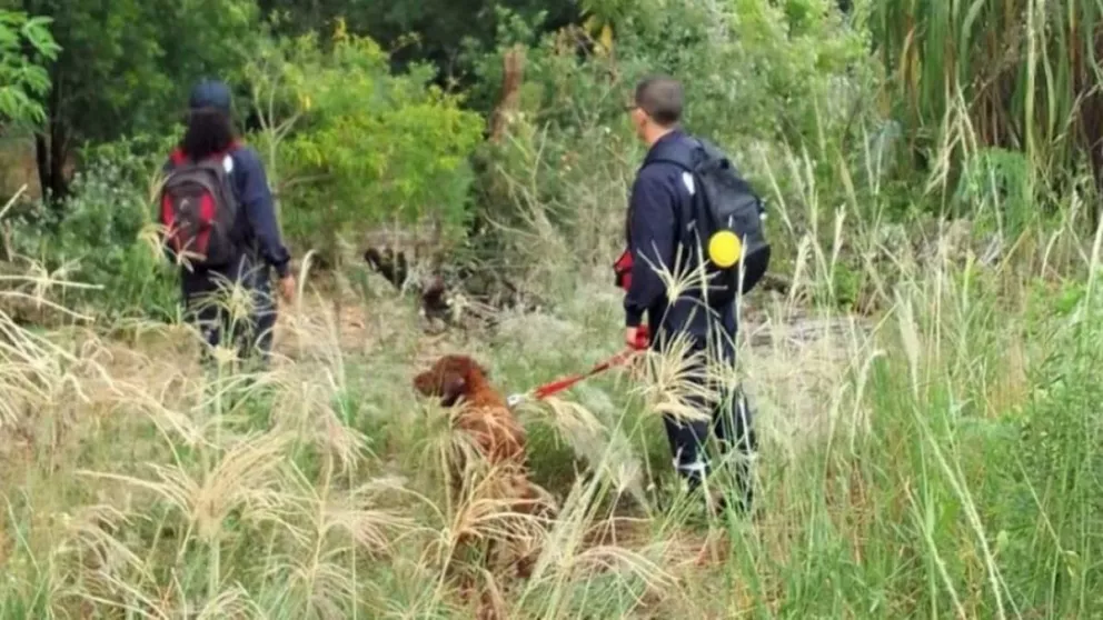 Perros buscan rastros del carpintero que desapareció en Los Helechos