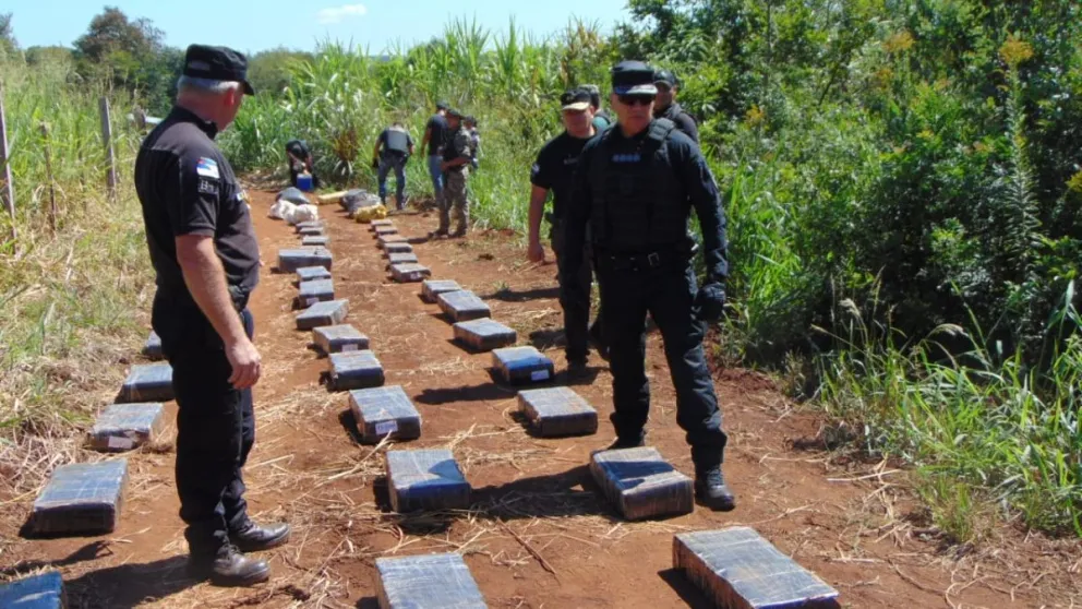 La Policía secuestró más de una tonelada de marihuana acopiada en el monte en Piray