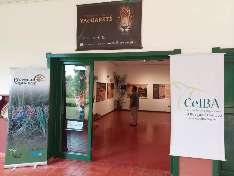 Inauguraron una muestra itinerante para la conservación del yaguareté