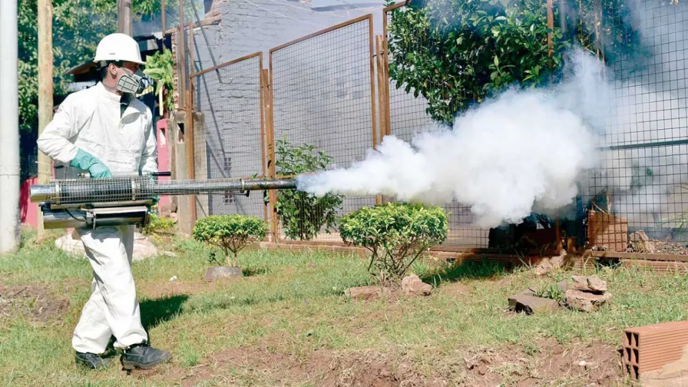 Brote de dengue: Misiones notificó 900 nuevos contagios en una semana