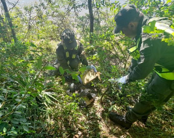 Ituzaingó: patrulla de gendarmes secuestró 20 kilos de marihuana