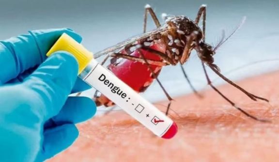 Ya son tres los casos de dengue confirmados en El Soberbio