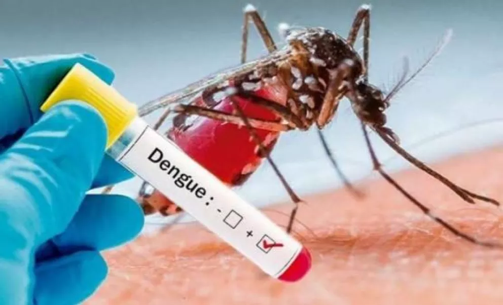 Dengue: en el país predominan los casos de serotipo DEN-2