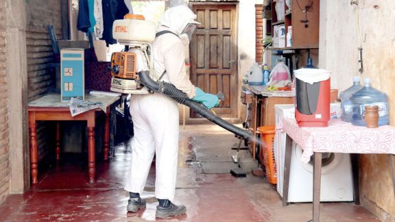 Dengue: Misiones notificó 116 nuevos casos y los internados ascienden a 41