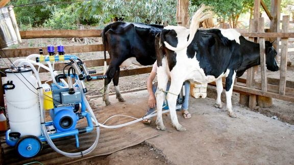 Agricultores familiares avanzan en la innovación y nuevas tecnologías