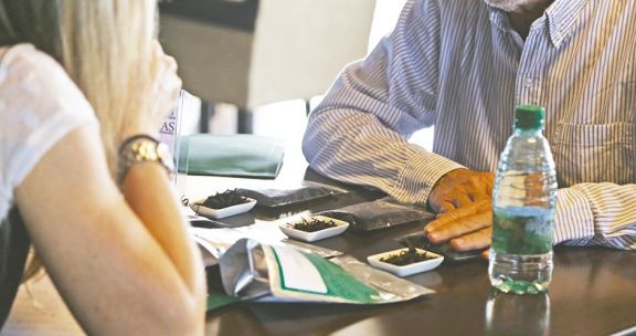 Potenciar la industria tealera