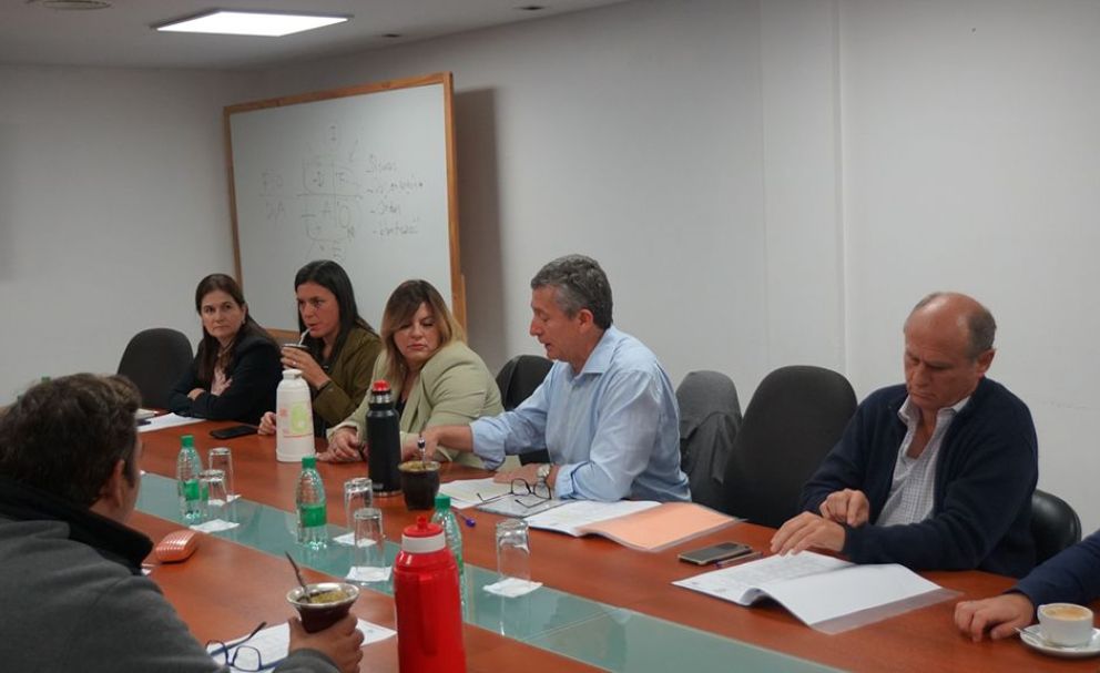 Impulsan educación alimentaria y hábitos sanos en las escuelas 