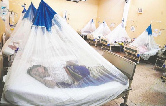El dengue causa estragos en Perú