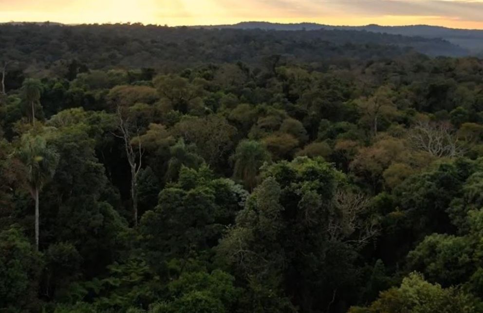 «Arandukuaa Misiones»: una propuesta educativa y cultural para las escuelas