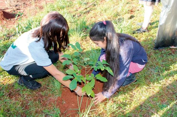 Arborización de escuelas, una  iniciativa a favor del planeta 