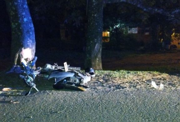Motociclista falleció tras despistar e impactar contra un árbol en Apóstoles
