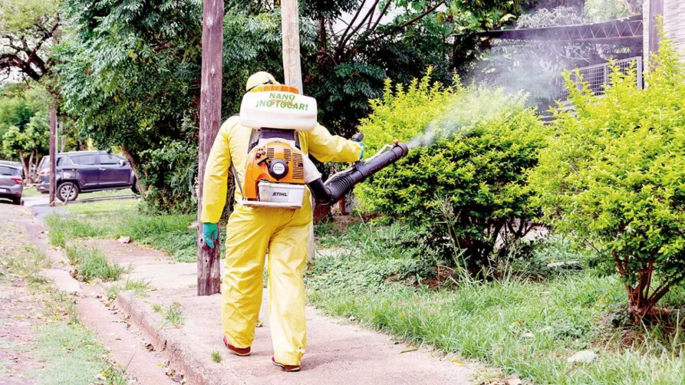 Misiones registra casos de dengue autóctono en período de interbrote