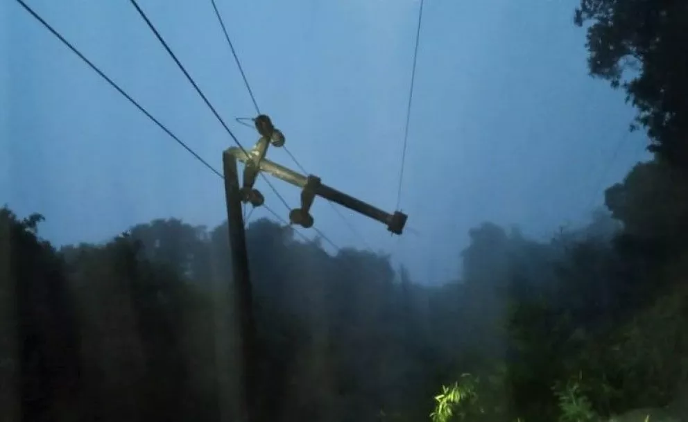 Campo Ramón: cayó un árbol, tumbó cinco postes y dejó sin luz a cientos de personas