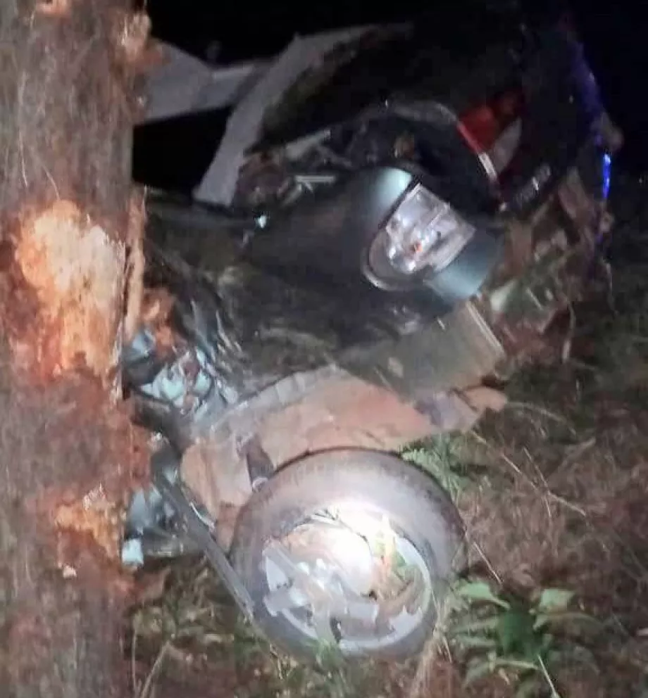 Automovilista falleció luego de impactar contra un pino